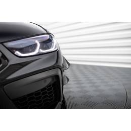 Maxton - Ailes de...