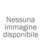 F95 [2018-2023]